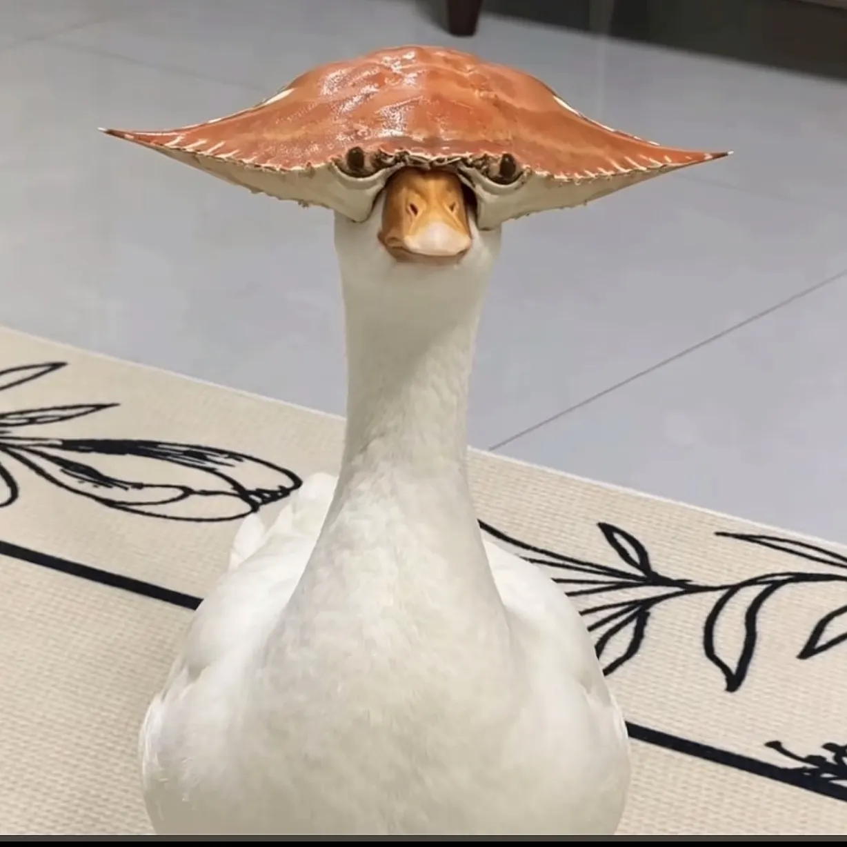 活